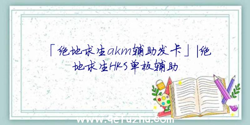 「绝地求生akm辅助发卡」|绝地求生HKS单板辅助